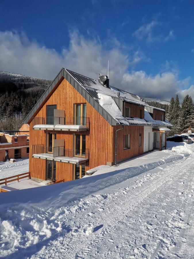 Apartman Pod Sjezdovkami Dolní Morava Exterior foto